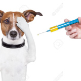 Povinné očkovanie psov proti besnote 1