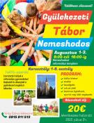 Gyülekezeti tábor Nemeshodos